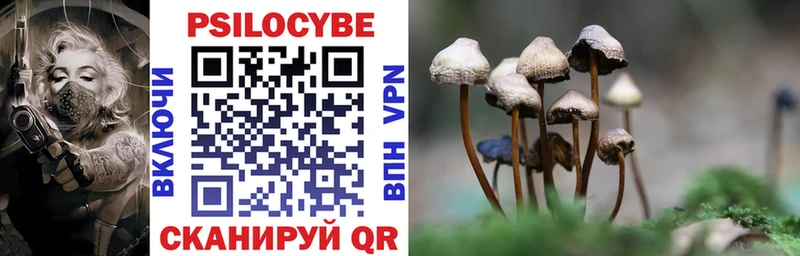Псилоцибиновые грибы GOLDEN TEACHER  Купить  Кыштым 